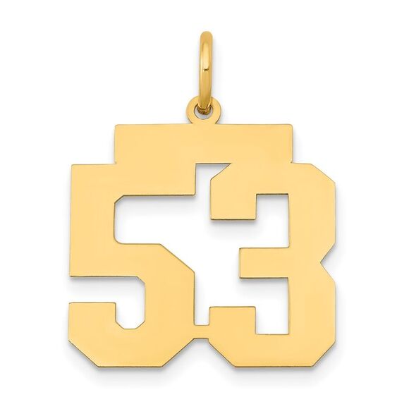 14k Yellow Gold Medium Polished Number 53 Charm